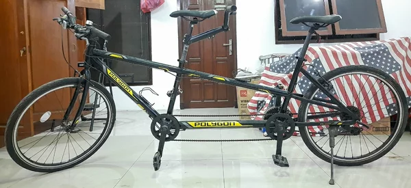 Detail Sepeda Polygon Tandem Nomer 53