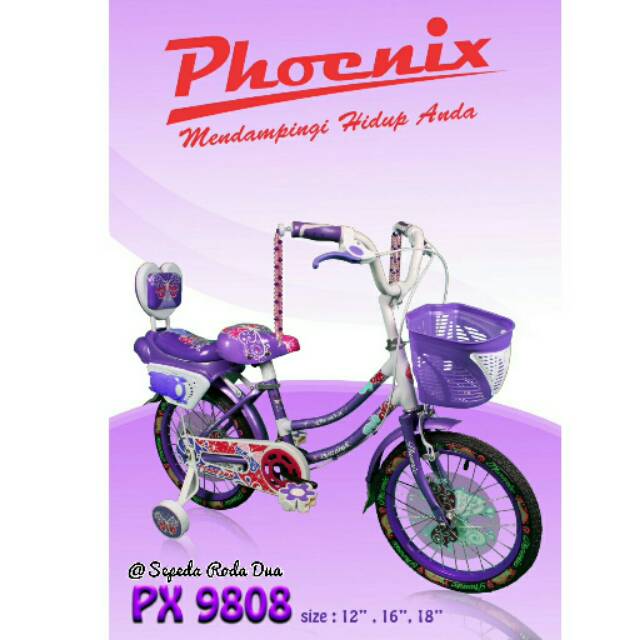 Detail Sepeda Sayur Phoenix Nomer 50