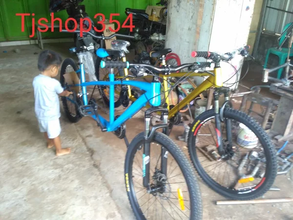 Detail Sepeda Tandem Anak Nomer 32