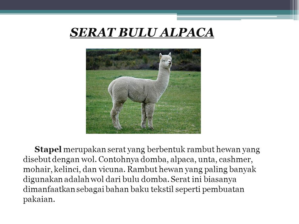 Detail Serat Bulu Alpaca Nomer 49