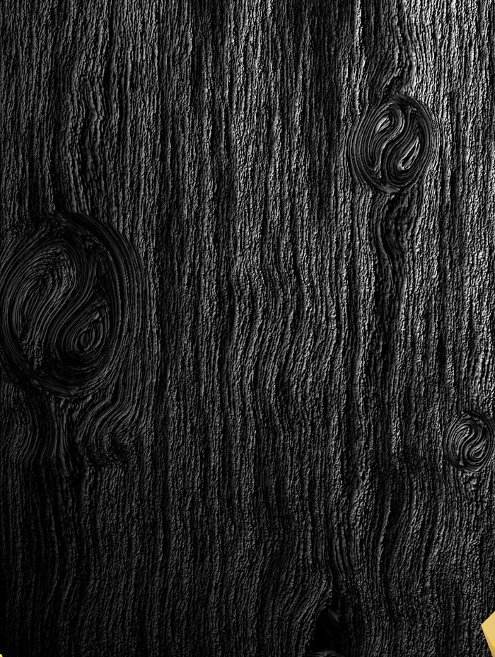 Detail Serat Kayu Vector Nomer 26