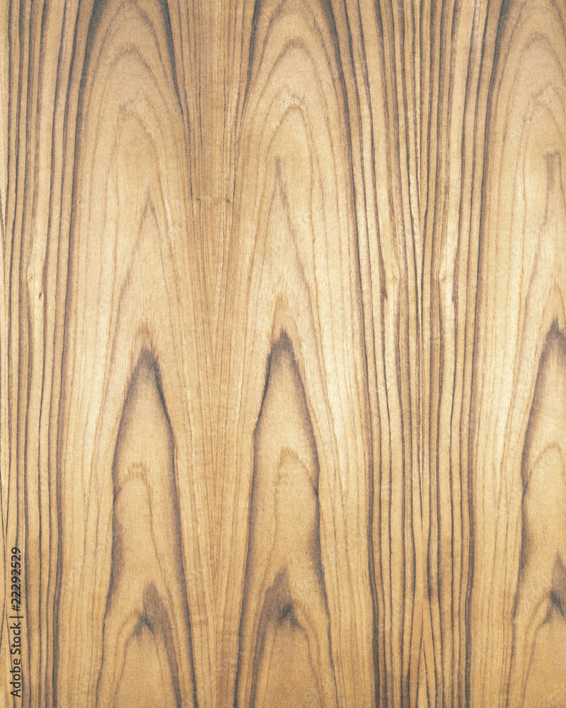 Detail Serat Kayu Vector Nomer 40