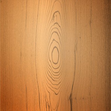 Detail Serat Kayu Vector Nomer 42