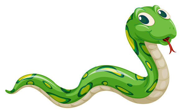 Detail Serpent Clipart Nomer 5