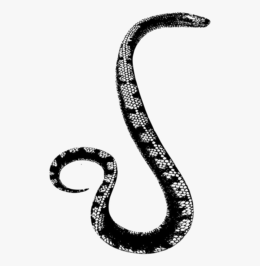 Detail Serpent Png Nomer 20