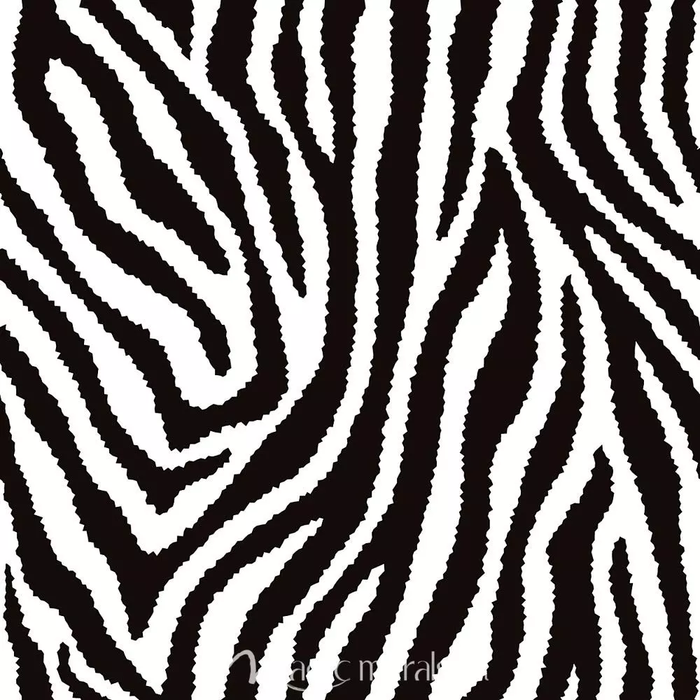 Detail Wallpapers Zebra Print Nomer 2