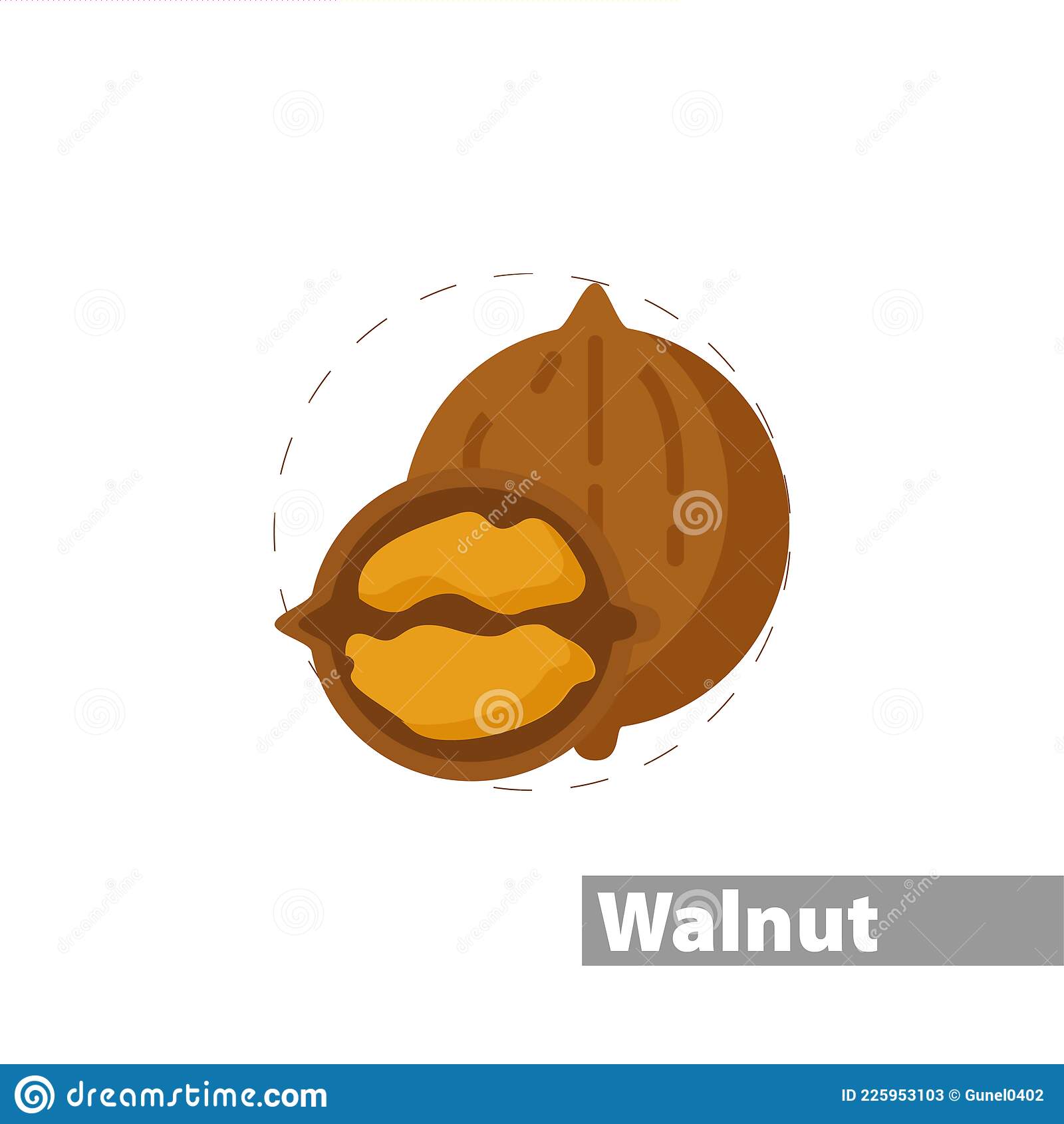 Detail Walnut Clipart Nomer 28