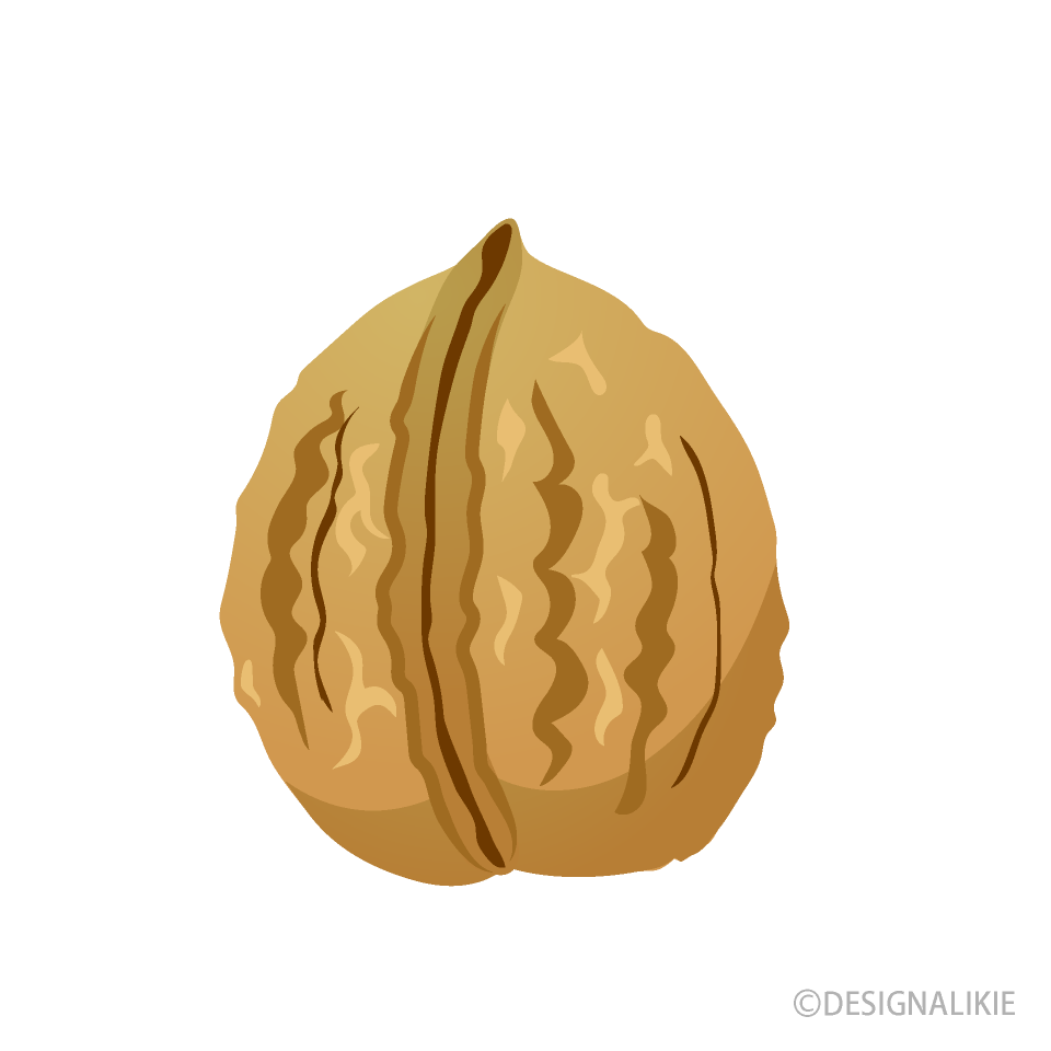 Detail Walnut Clipart Nomer 42