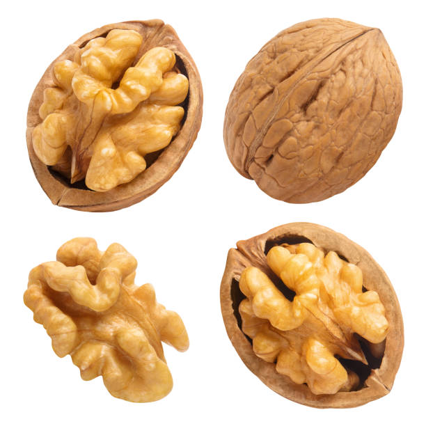 Detail Walnut Image Nomer 50