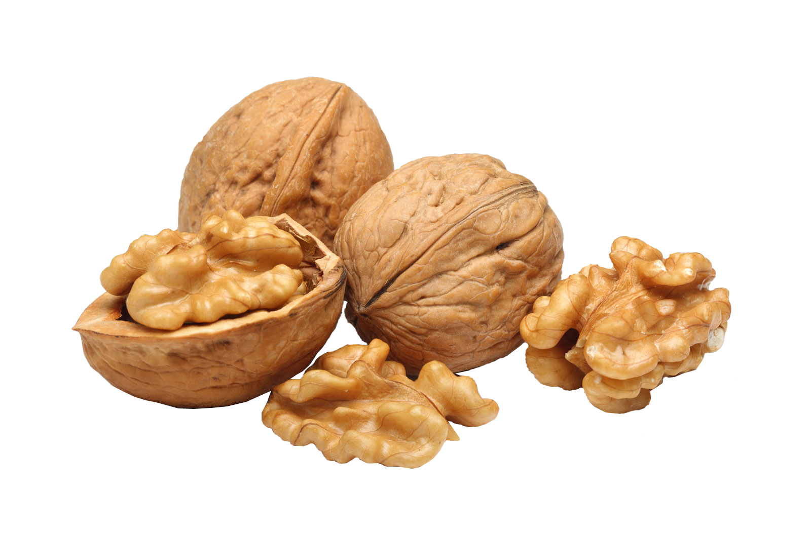 Detail Walnut Png Nomer 2