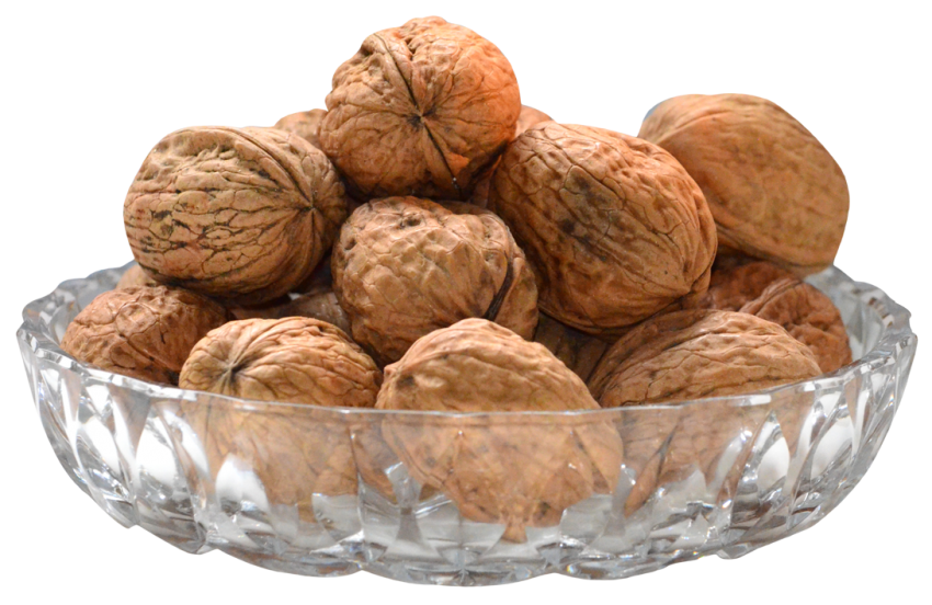 Detail Walnut Png Nomer 41