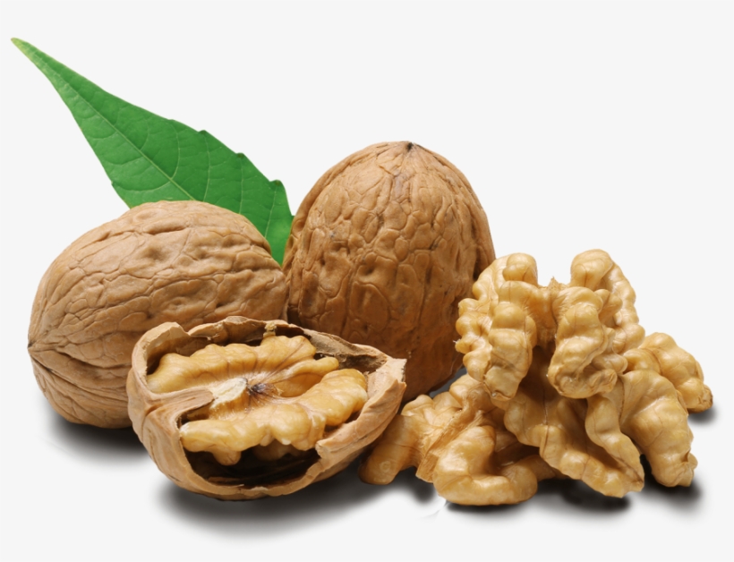 Detail Walnut Transparent Nomer 13