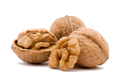 Detail Walnut Transparent Nomer 15