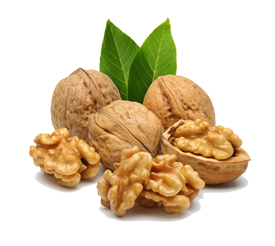 Detail Walnut Transparent Nomer 17