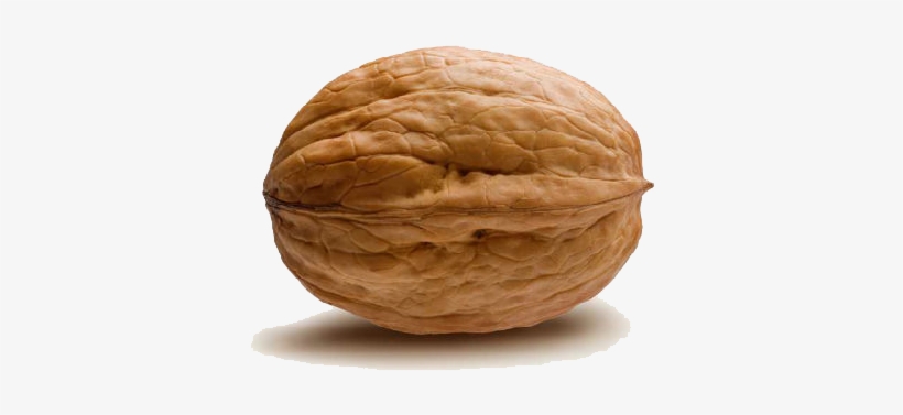 Detail Walnut Transparent Nomer 3