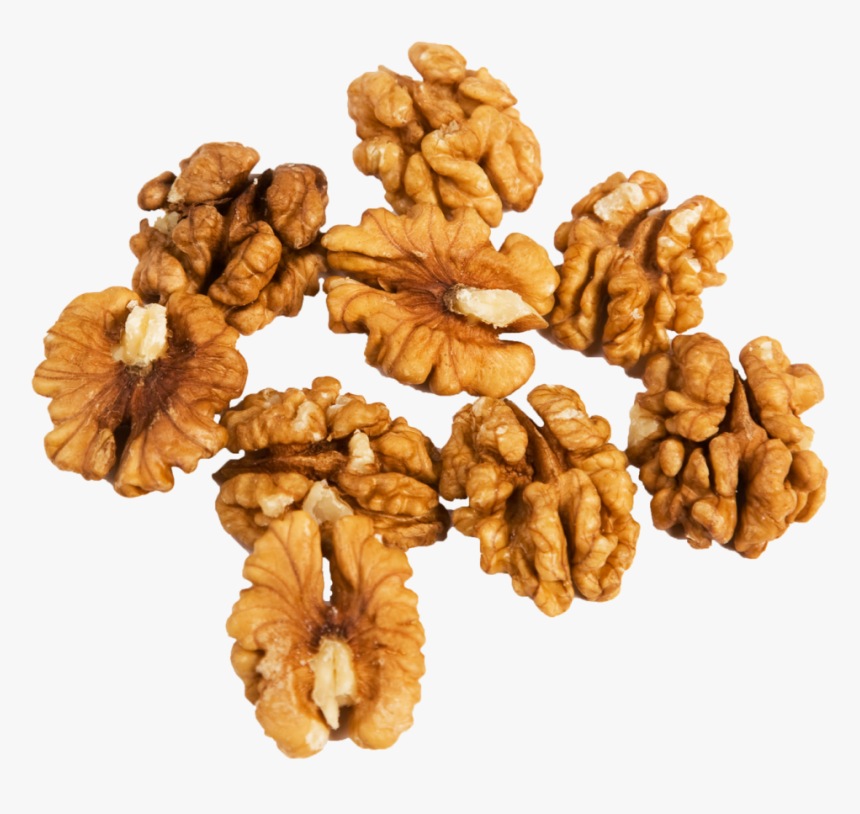 Detail Walnut Transparent Nomer 20