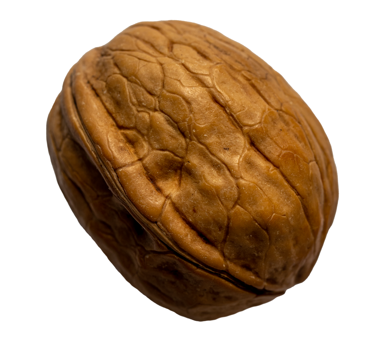 Detail Walnut Transparent Nomer 21
