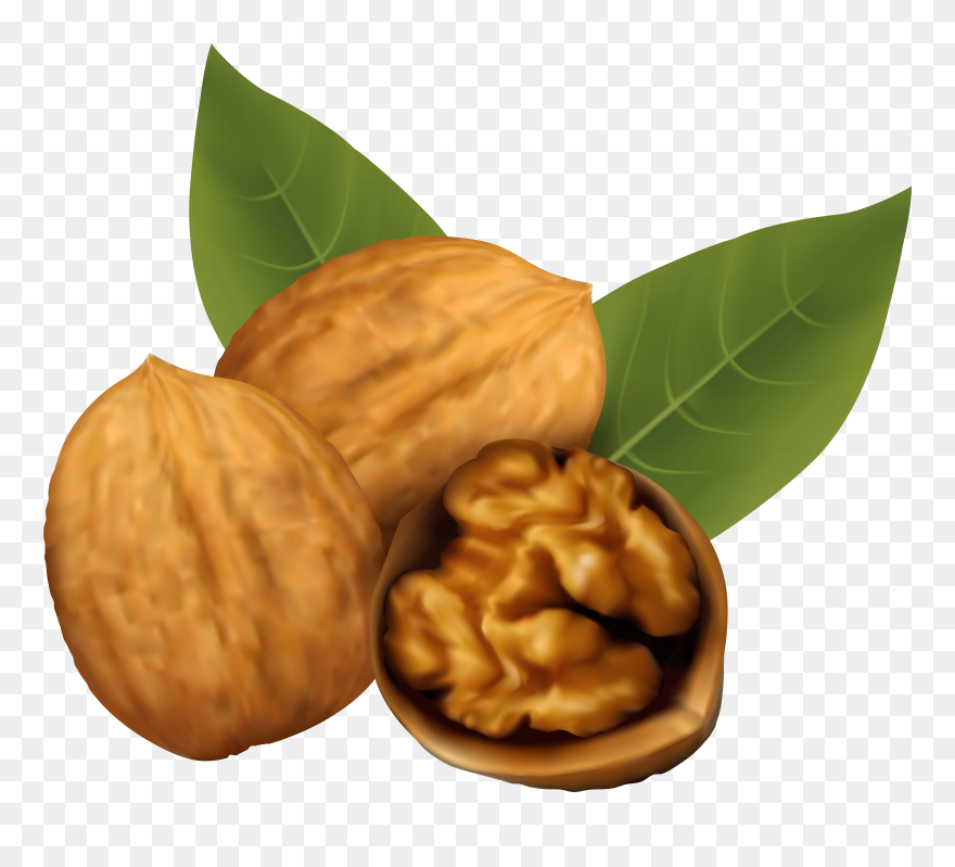 Detail Walnut Transparent Nomer 24