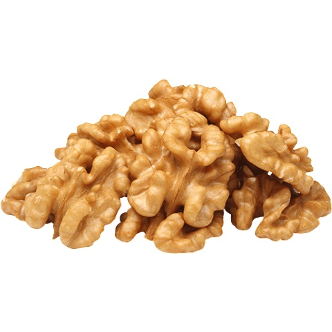 Detail Walnut Transparent Nomer 25