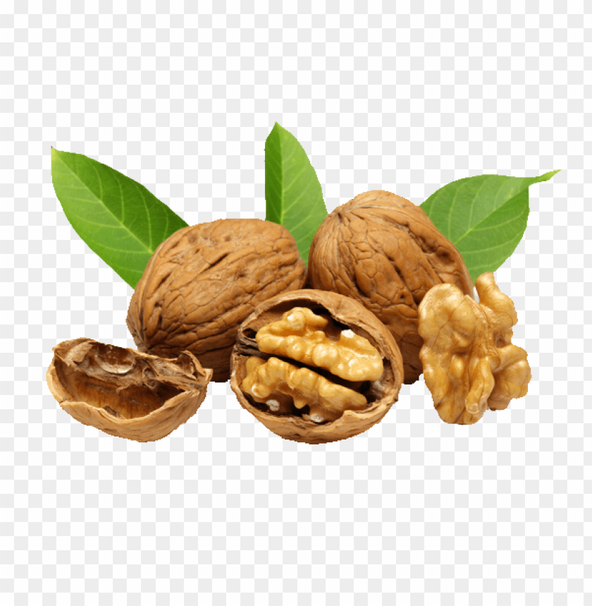 Detail Walnut Transparent Nomer 28