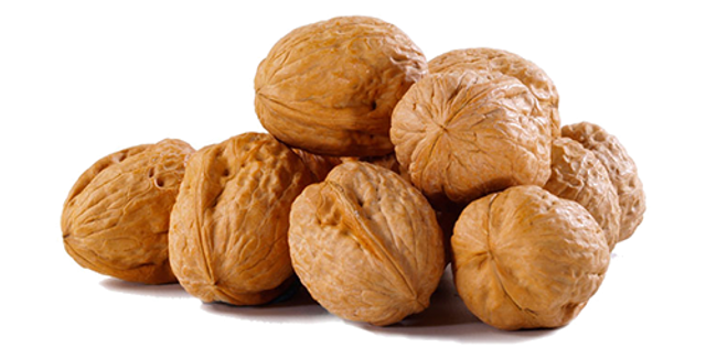 Detail Walnut Transparent Nomer 33