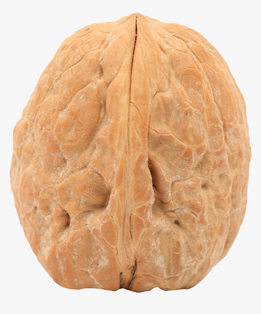 Detail Walnut Transparent Nomer 38