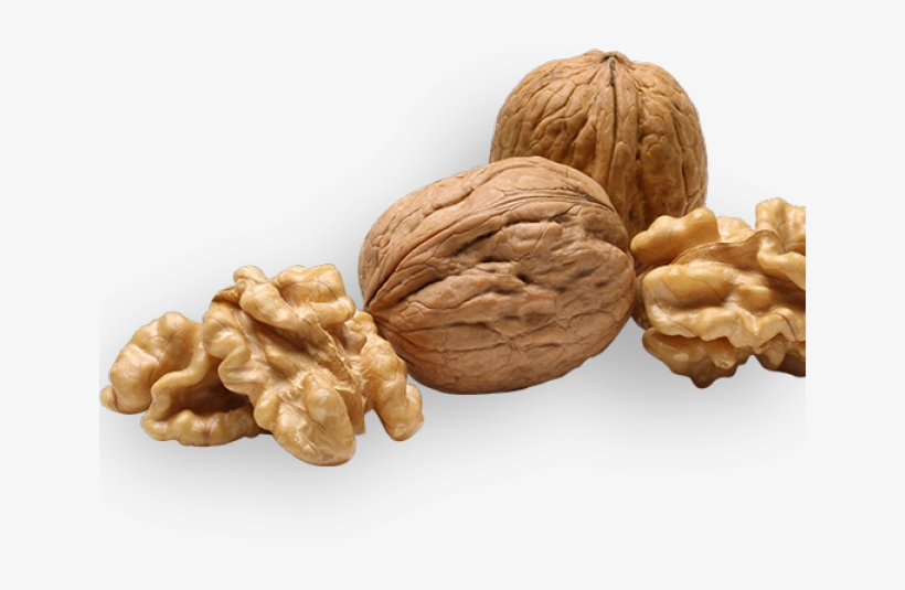 Detail Walnut Transparent Nomer 6