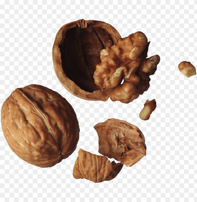 Detail Walnut Transparent Nomer 49