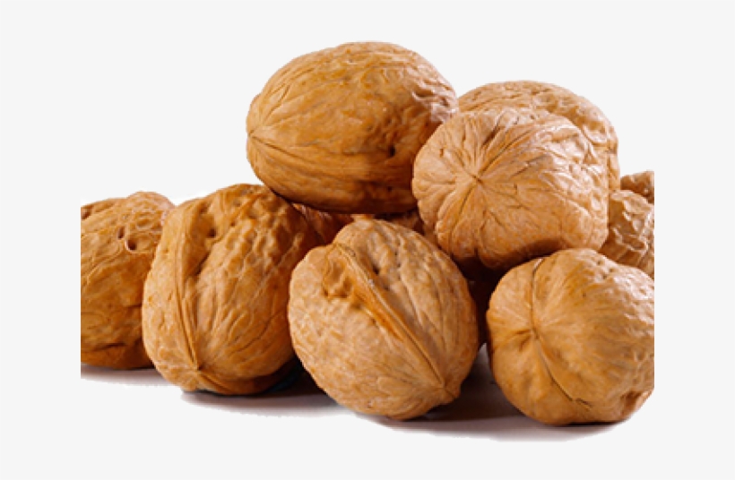 Detail Walnut Transparent Nomer 50