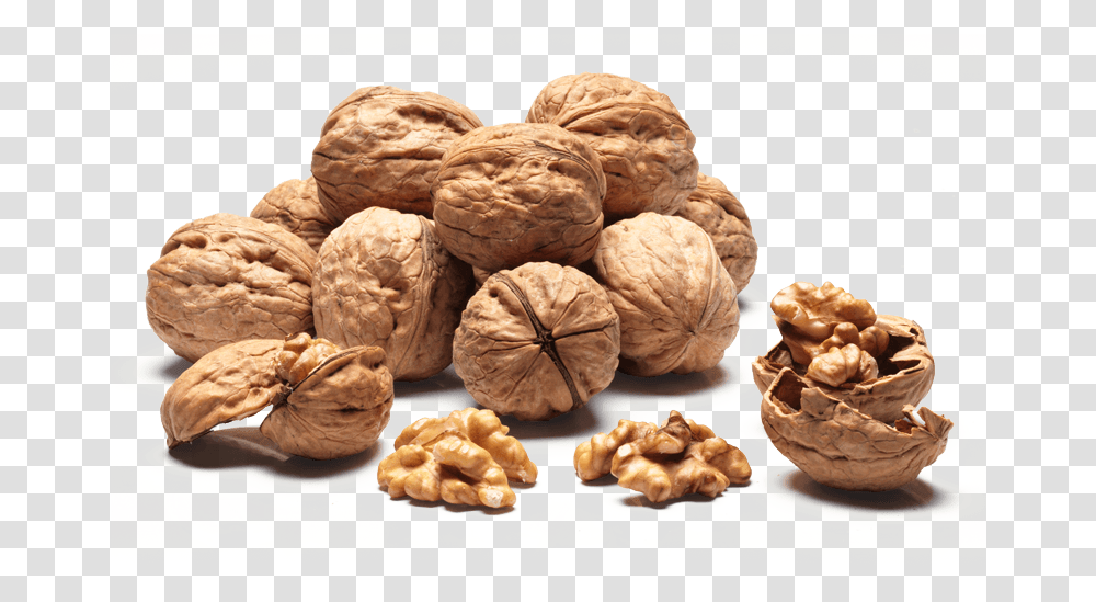 Detail Walnut Transparent Nomer 51