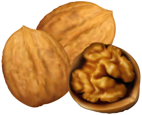 Detail Walnut Transparent Nomer 53