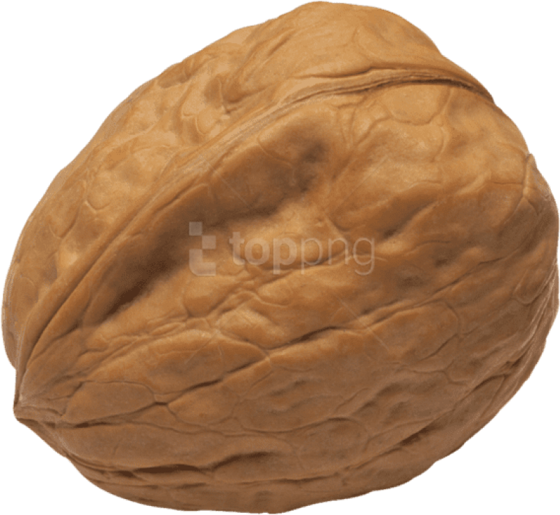 Detail Walnut Transparent Nomer 9