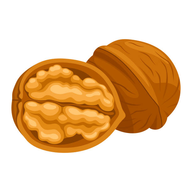 Detail Walnut Tree Clipart Nomer 22