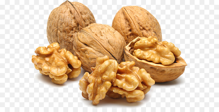 Detail Walnuts Png Nomer 13