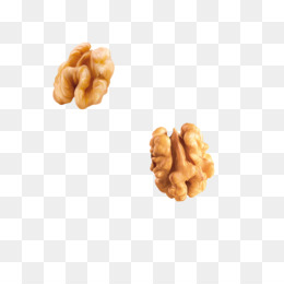 Detail Walnuts Png Nomer 37