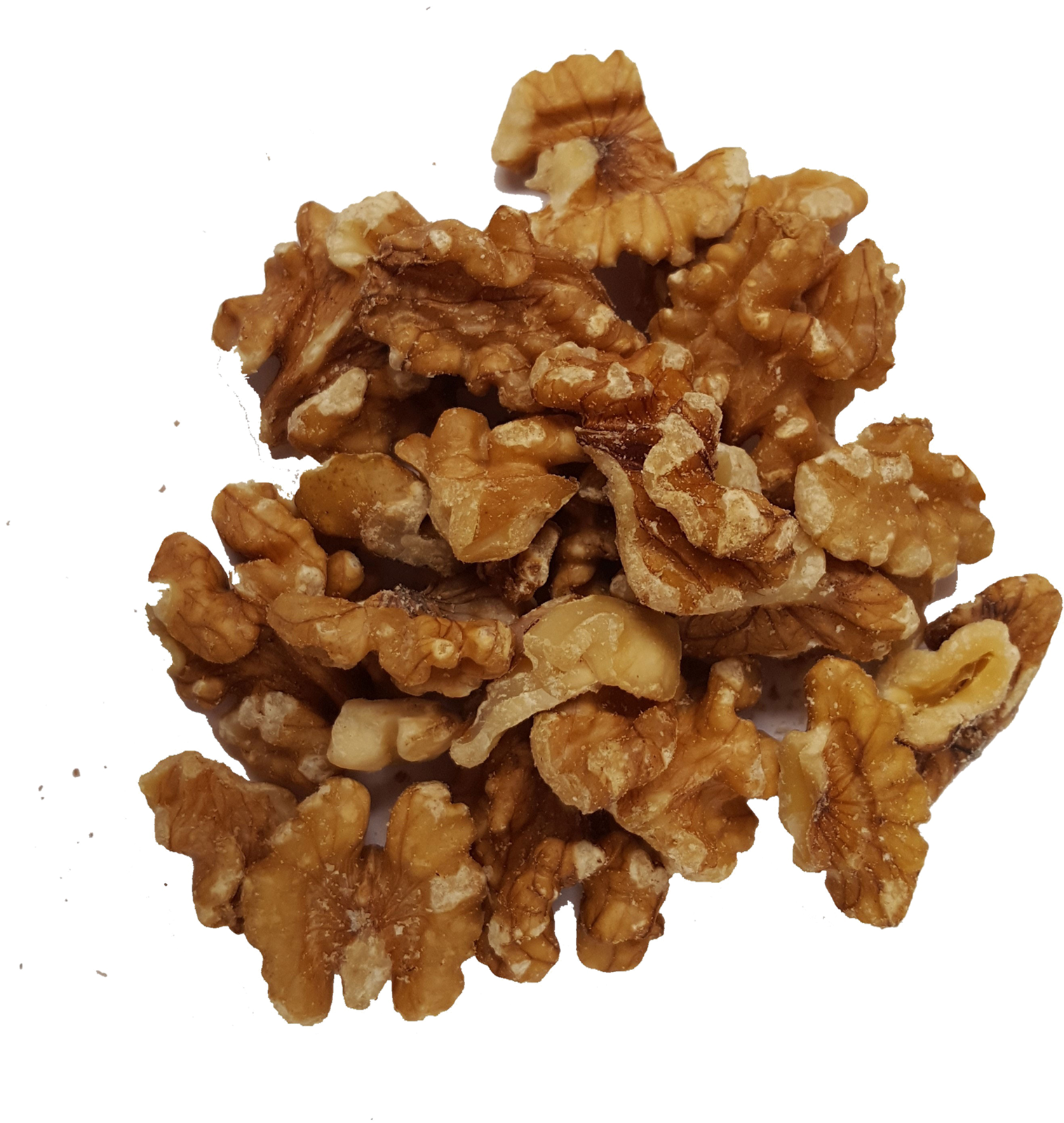 Detail Walnuts Png Nomer 41