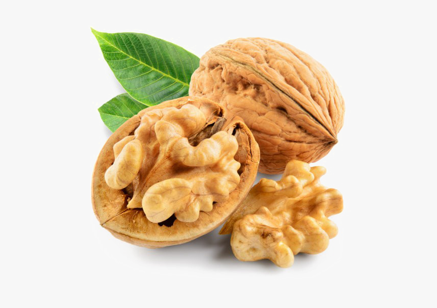 Detail Walnuts Png Nomer 8