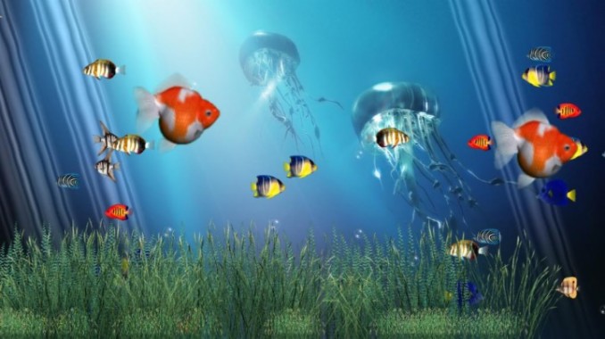 Detail Walpaper Aquarium Bergerak Nomer 44