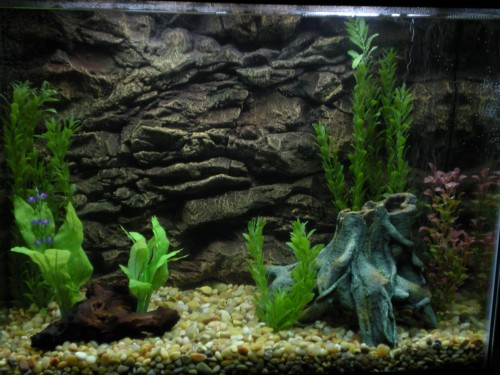 Detail Walpaper Aquarium Bergerak Nomer 58