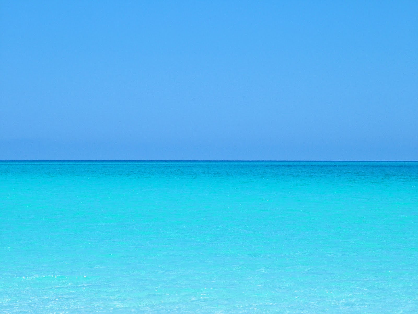 Detail Walpaper Biru Laut Nomer 21