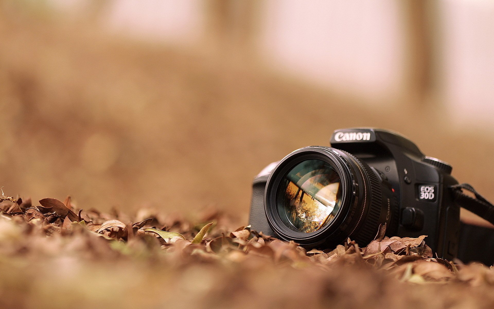 Detail Walpaper Camera Nomer 3