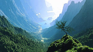 Detail Walpaper Computer Nomer 26