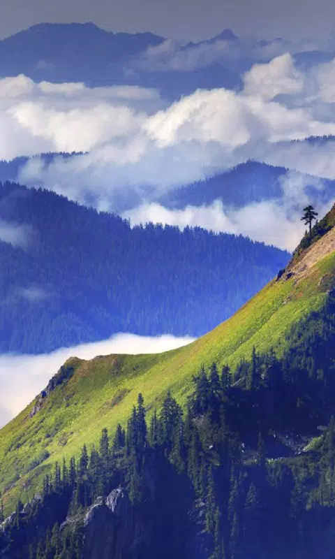 Detail Walpaper Gunung Nomer 30
