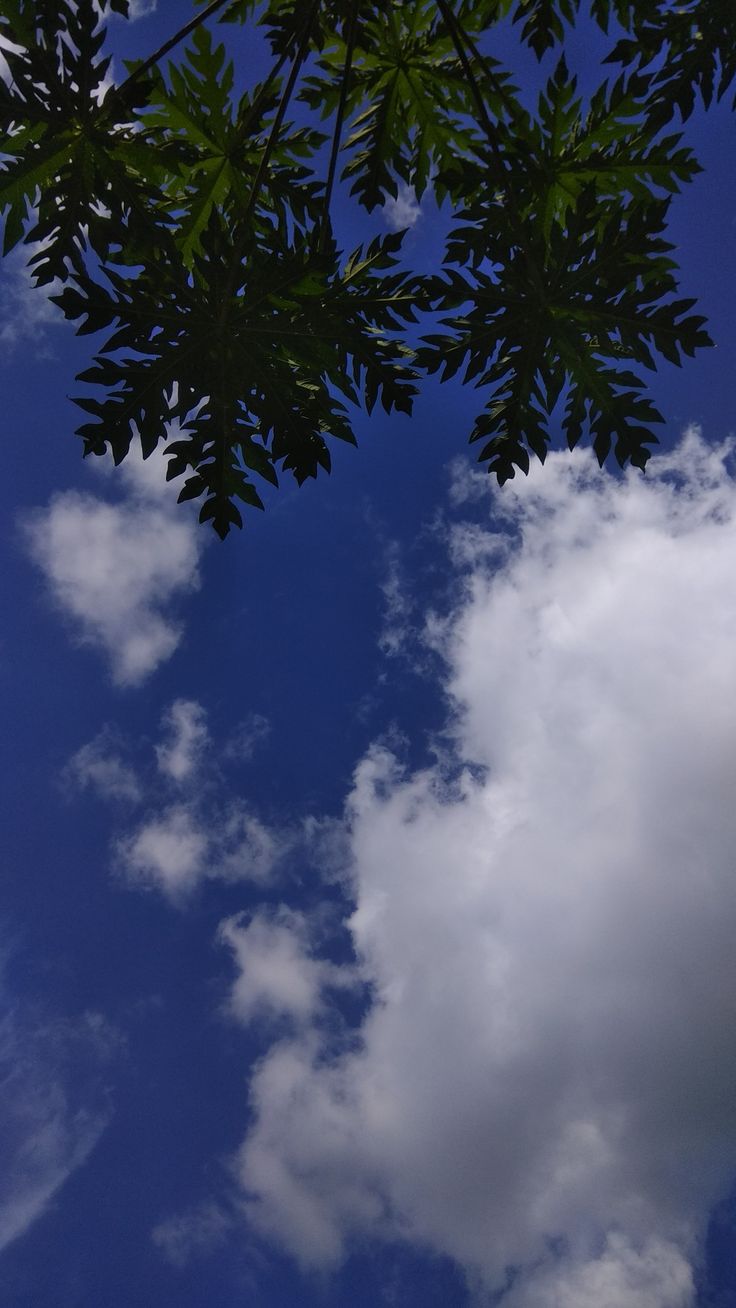 Detail Walpaper Langit Nomer 12