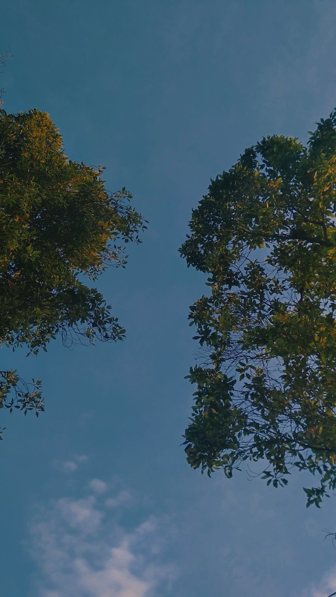 Detail Walpaper Langit Nomer 17
