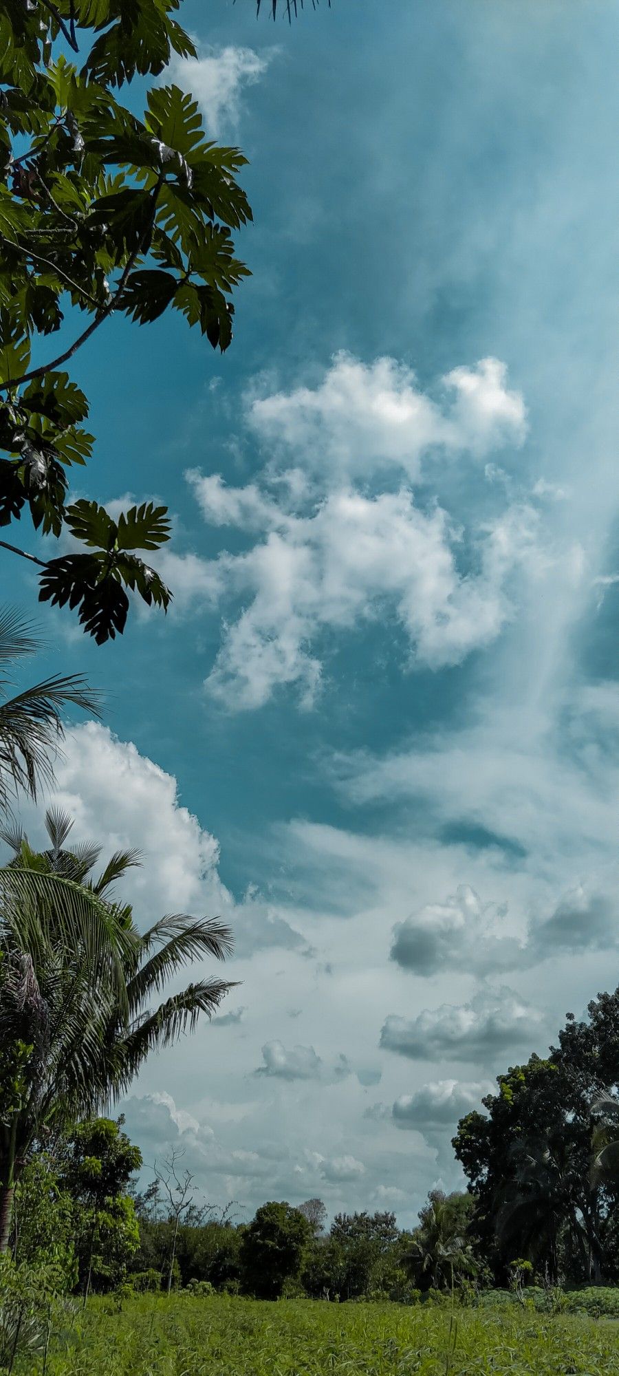 Detail Walpaper Langit Nomer 22