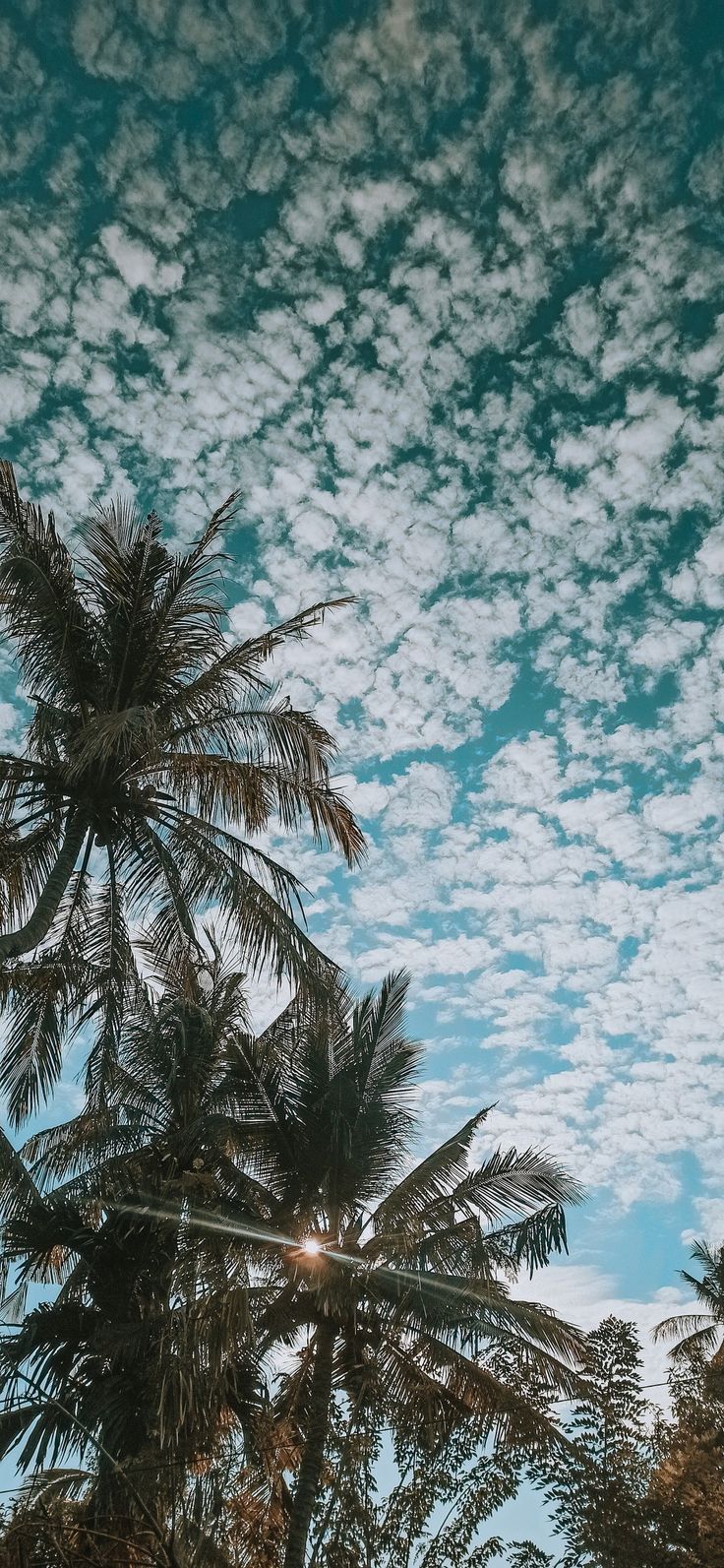 Detail Walpaper Langit Nomer 4