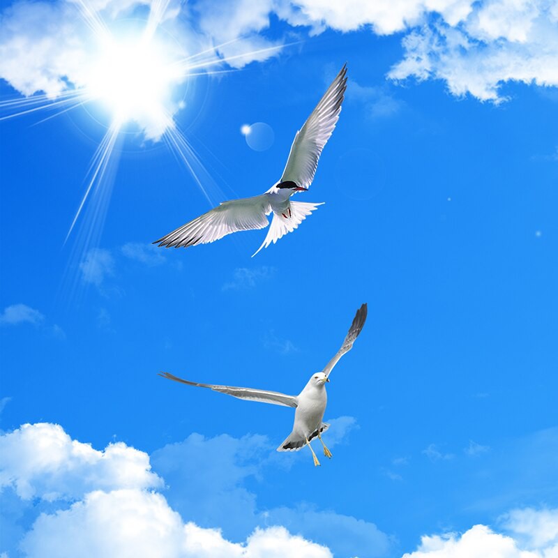 Detail Walpaper Langit Nomer 35