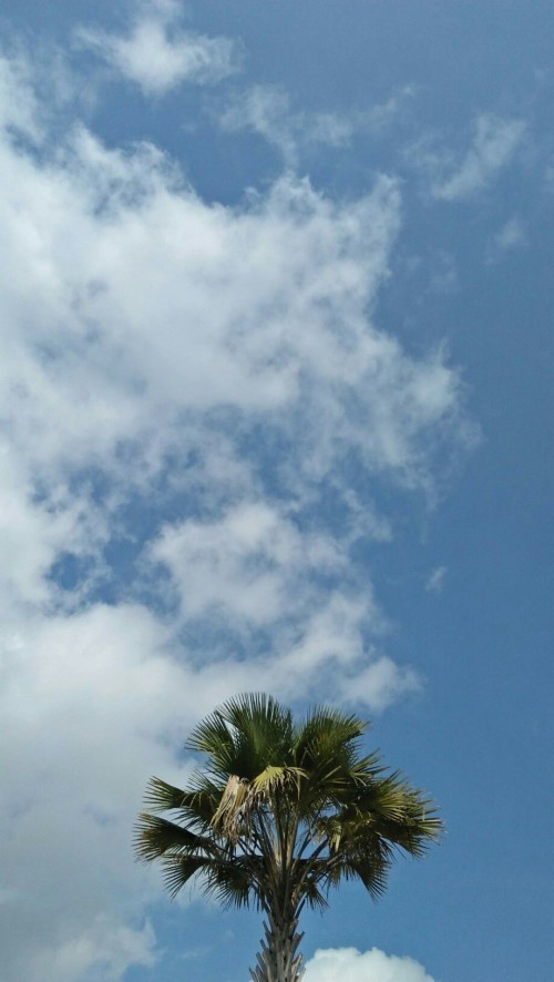 Detail Walpaper Langit Nomer 9