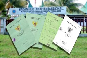 Detail Sertifikat Rumah Dan Tanah Nomer 13